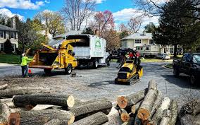 Best Commercial Tree Services  in Oostburg, WI